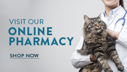 Online Pharmacy Button